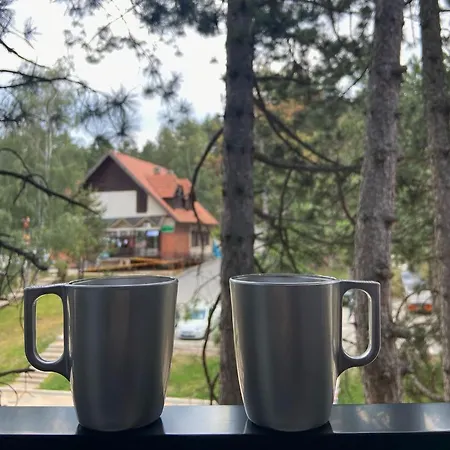 Apartment Jolic Zlatibor