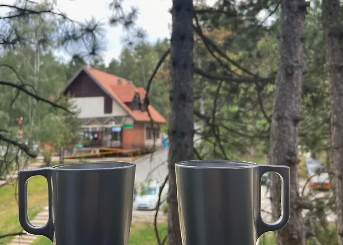 Apartment Jolic Zlatibor